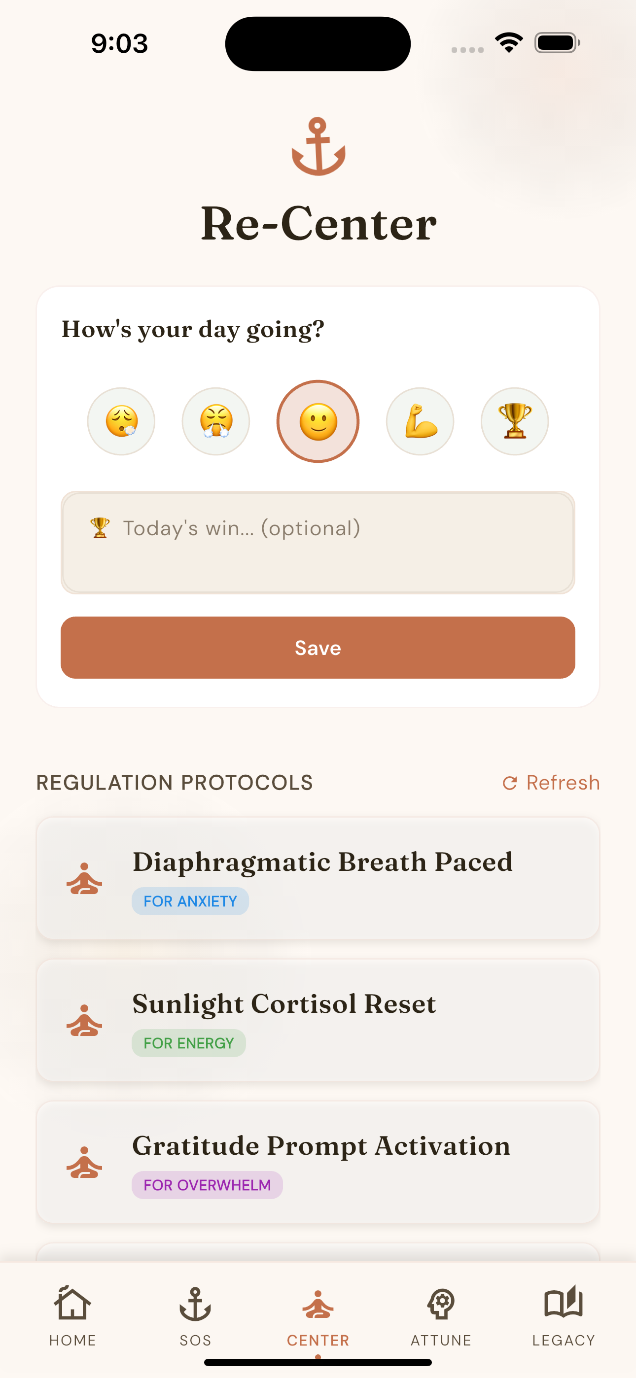 DadAnchor mood tracking and re-center tools